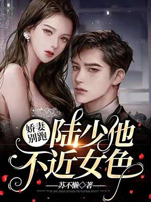 娇妻别跑:陆少他不近女色