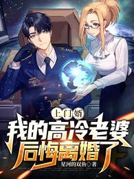 上门婿:我的高冷老婆后悔离婚了