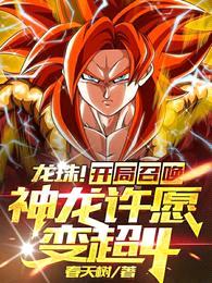 龙珠!开局召唤神龙许愿变超4