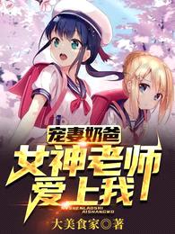 宠妻奶爸:女神老师爱上我